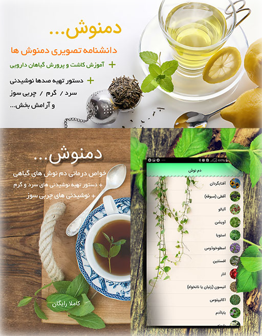 Mobile-Iphone